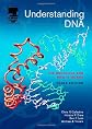 Understanding DNA: The Molecule & How It Works