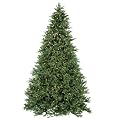 Utah Frasier Tree (Clear) Green