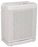 Hunter 30378 19-Feet by 21-Feet Hepa Tech Room Air Purifier for Large Rooms