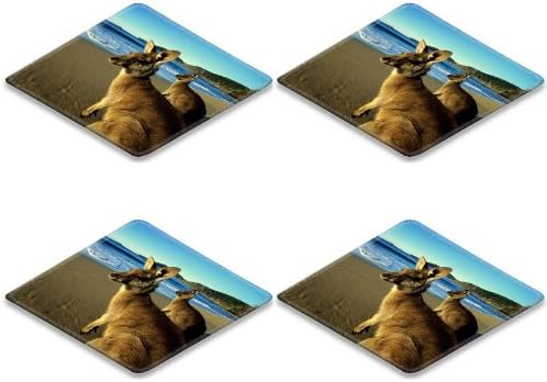 Kangaroo Jumpers Beautiful Eyes Beach Mountains Sand Water Wool Square Coaster (4 Piece) Set Fabric Rubber 5 Inch Size Liil Coaster Cup Mug Can Water Bottle Drink Coasters Stain Resistance Collector Kit Kitchen Table Top Desk