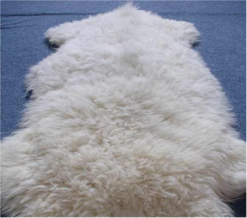 naturweißes Öko Schaffell - ca. 110-119 cm lang