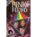 Pink Floyd: The search for the essence of Syd book cover