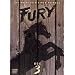 Fury - Box 3 [4 DVDs]