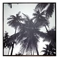 Island Palms on Canvas by Kahn - 20x20"