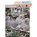 Eyewitness: Eagles & Birds of Prey