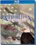 America the Beautiful [Blu-ray]
