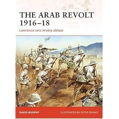 The Arab Revolt 1916-18: Lawrence sets Arabia ablaze (Campaign)