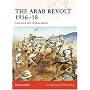 The Arab Revolt 1916-18: Lawrence sets Arabia ablaze (Campaign)