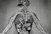 The Heart (1950) [DVD]  A vintage Science & Biology Film