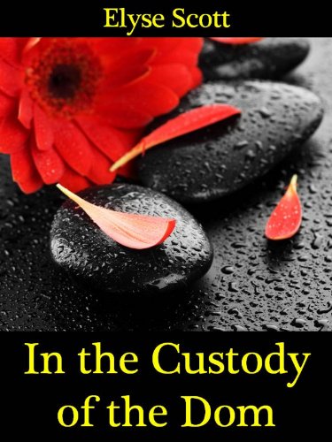 In the Custody of the Dom (Hideaway Book 1)
