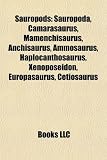 Sauropods: Sauropoda, Camarasaurus, Mamenchisaurus, Anchisaurus, Ammosaurus, Haplocanthosaurus, Xenoposeidon, Europasaurus, Cetiosaurus