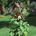 KITCHEN HERBS POT DOG HAJO flower plant pottery vase