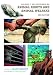 Book cover for 9780313352591