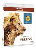 F�lins + Pollen [Blu-ray]