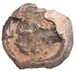 ca. 3 kg Dinostein, Dekosteine, Aquar...