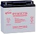 ENERSYS YUA NP1812B NP1812B 17.2 AMP HR 12V [Camera]