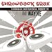 Lil' Wayne Throwback Instrumental Tribute