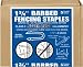 Tools & Hardware : Woodstream #400-407T 1-3/4" Galvanized Barb Staple