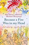 Because a fire was in my head