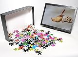 Photo Jigsaw Puzzle of Female northern cardinal (Cardinalis cardinalis), The Pond, Amado, Arizona, from Robert Harding