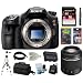 Sony Alpha SLT-A65V 24.3MP Digital SLR with Translucent Mirror Technology (Body Only) + Sony 16GB SDHC + Sony 55-200 Lens + Sony Case + Mini HDMI Cable + Replacement Battery Pack + Accessory Kit