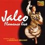 Flamenco Live