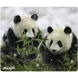 Nature's Smart Mouse Pad Panda ? 60 % Recycled Content, Anti-Microbial (29879)
