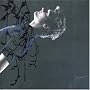 La for?T Des Mal ~ Pierre Lapointe