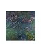 Jewelry lilies - Poster by Claude Monet (11x14)