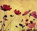 Old-fashioned Flower - 18