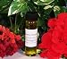 Our Courage Boost Oil has been designed to give you a boost of courage when you need it.:All our oils are made of 100% essential oils diluted in 100% Organic Pure and Certified Jojoba oil. It is safe to be used on the skin.:The Courage Boost Oil contains: Ginger (gives you the courage you need in any situation and attracts money), Frankincense (The most sacred oil of all, gives you protection and boosts your courage, enhances spirituality and helps you to see things you normally can't see in a difficult situation), Rose Geranium (gives you extra protection, maintains your peace and gives you positive vibrations) and one clove (nhances protection and courage).:Angelical Whispers Courage Boost Oil is a very potent and powerful oil. Use it before being introduced to people that can impact your life, when you need to give presentations in public, before asking your boss for an increase in salary or for a better position. :It is a special oil to be used in any nerve-wracking situation.:It can be added to your bath water, on your incense, to anoint yourself or your tools before any magical work or spells.:It cames with a prayer to bless your oil and information on how to use it.:All our oils are blended and sealed at the time of purchase to ensure freshness.