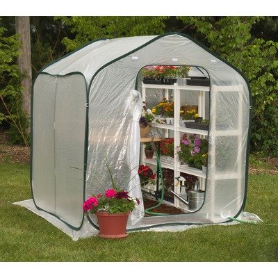 Flower House FHSP300 SpringHouse Greenhouse