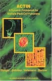 Actin: A Dynamic Framework for Multiple Plant Cell Functions