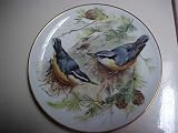 Corsican Nuthatch Collector Plate