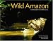Wild Amazon