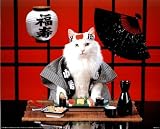 Review GetZat.co.uk  / Hilarious Sushi Cat 2 Funny College Art Poster Print - 20