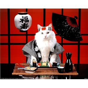 HILARIOUS Sushi Cat 2 Art Print POSTER funny college - 16x20