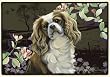 Spring Time King Cavalier Doormat Rug Fiddlers Elbow