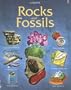 Rocks and Fossils (Hobby Guides)