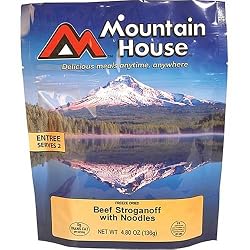 Mountain House Beef Stroganoff w/ Noodles Freeze Dried 2 Person Pouch - like MRE Food / Meal for Hiking, Camping, Fishing, Hunting and Outdoor Recreation