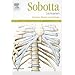 Sobotta Lernkarten Knochen, B�nder und Gelenke: Knochen, B�nder, Gelenke, mit Zugang zum Elsevier-Portal