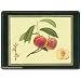 Pimpernel Hooker Fruits Placemats Set of 4 (large)