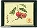 Pimpernel Hooker Fruits Placemats Set of 4 (large)