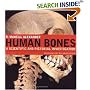 Human Bones: A Scientific and Pictorial Investigation