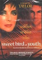 Sweet Bird of Youth