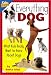Everything Dog: What Kids Really Want to Know About Dogs (Kids' FAQs)