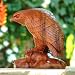 Wood statuette, 'Eagle Glaze'