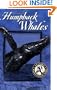 Hawaii's Humpback Whales
