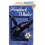 Hawaii's Humpback Whales