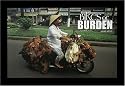 Bikes of Burden